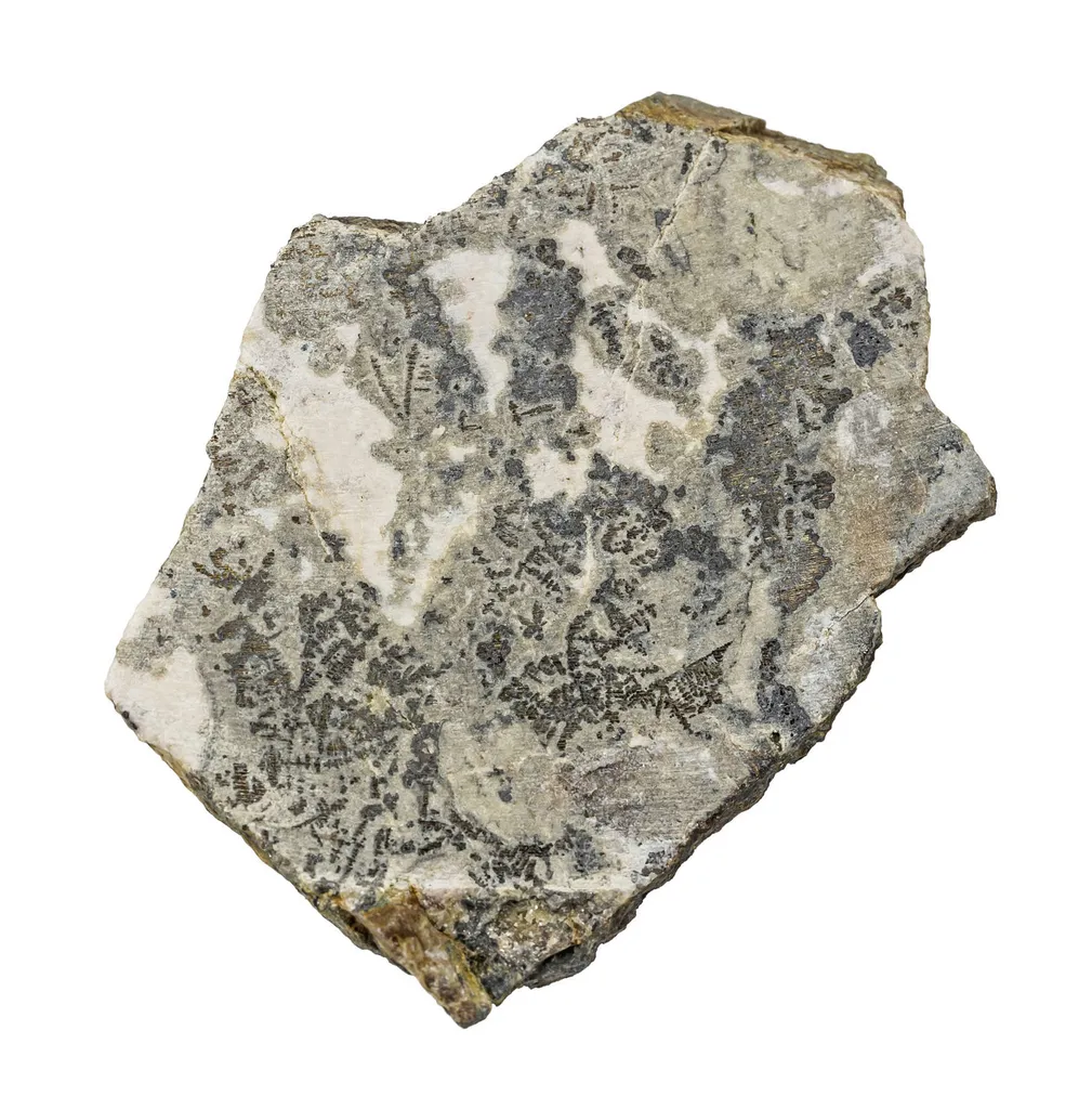 Silver image