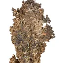 Silver - image 6