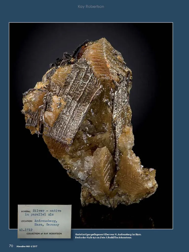 Silver - image 5