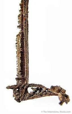 Silver - image 2