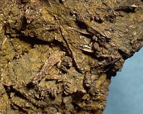 Silver, Chlorargyrite - image 2