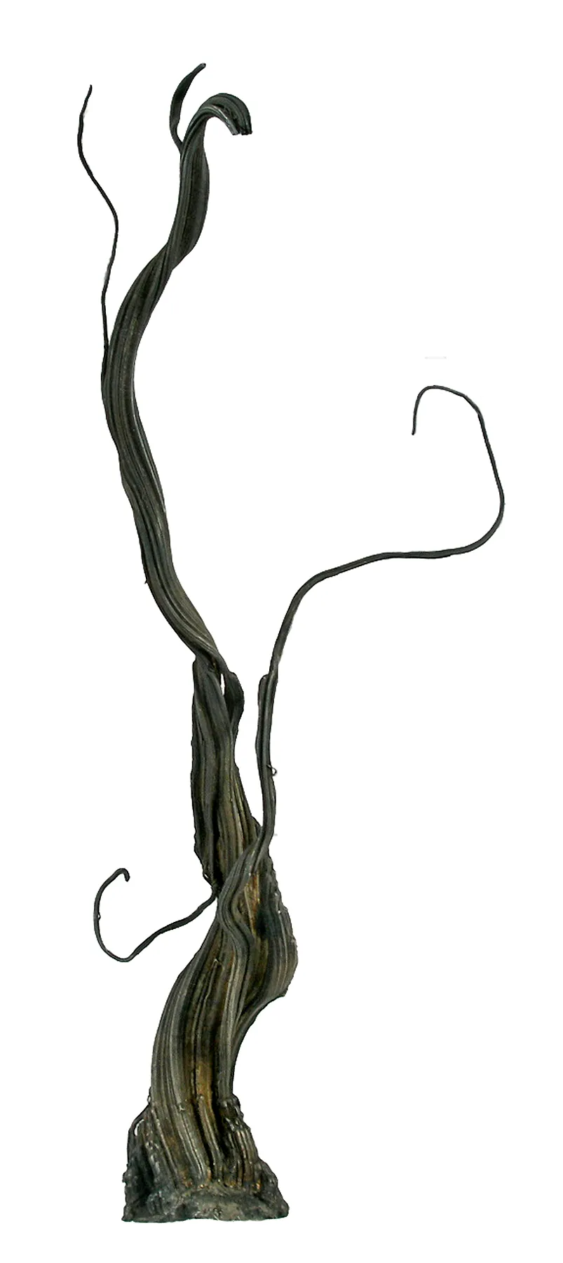 Silver (Circa 1800S) Ex. Bally Museum - image 5