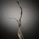 Silver (Circa 1800S) Ex. Bally Museum - image 1