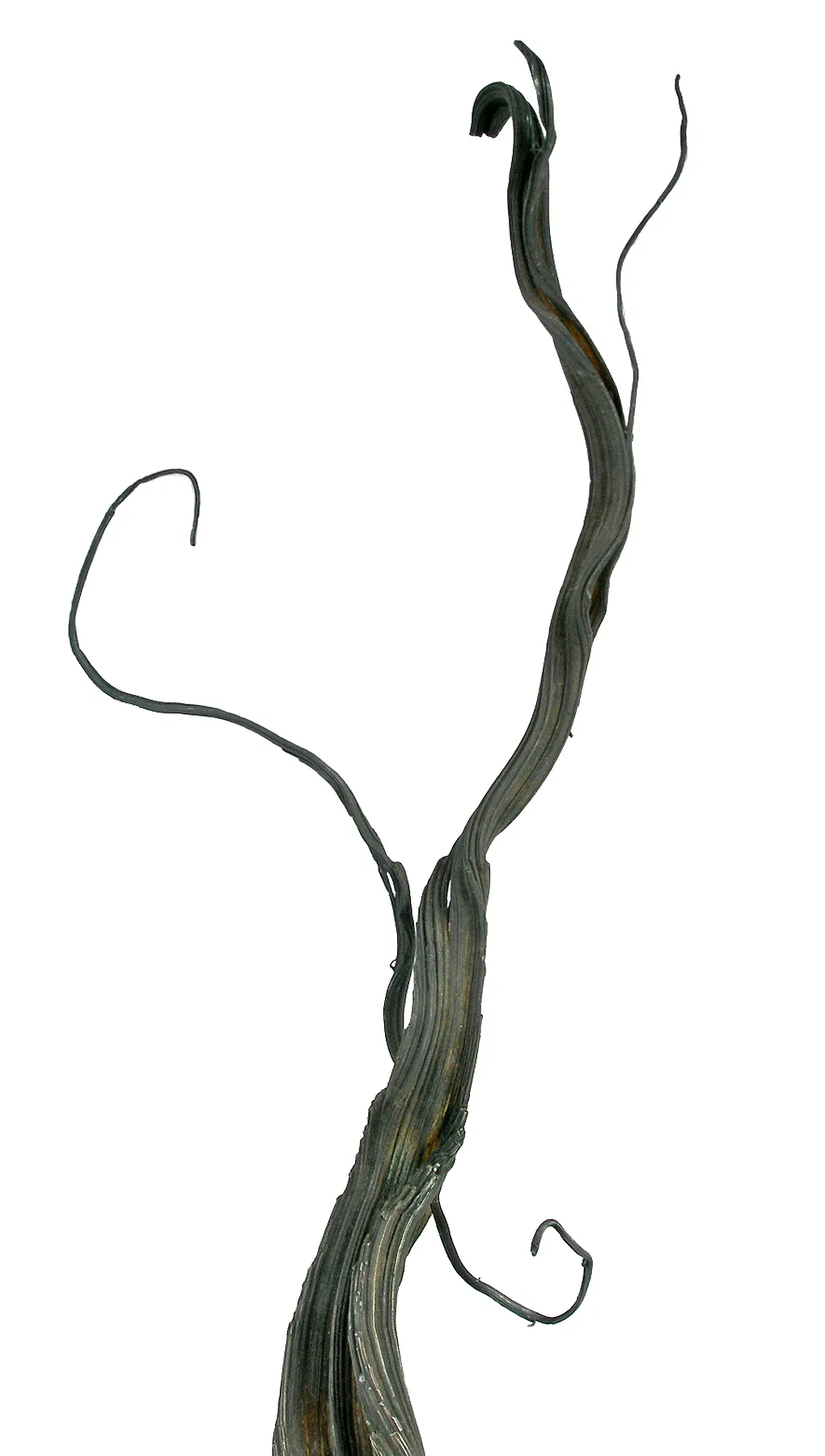 Silver (Circa 1800S) Ex. Bally Museum - image 3