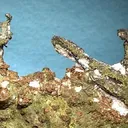 Silver, Copper - image 2