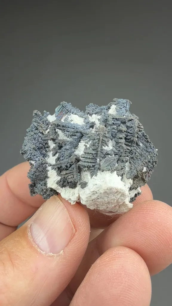 Silver - image 2
