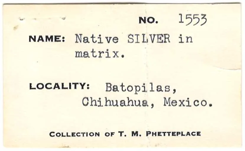 Silver - image 6