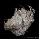 Silver - image 4