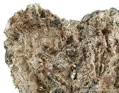 Silver - image 3