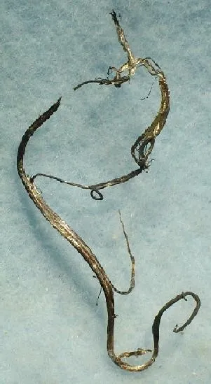 Silver image