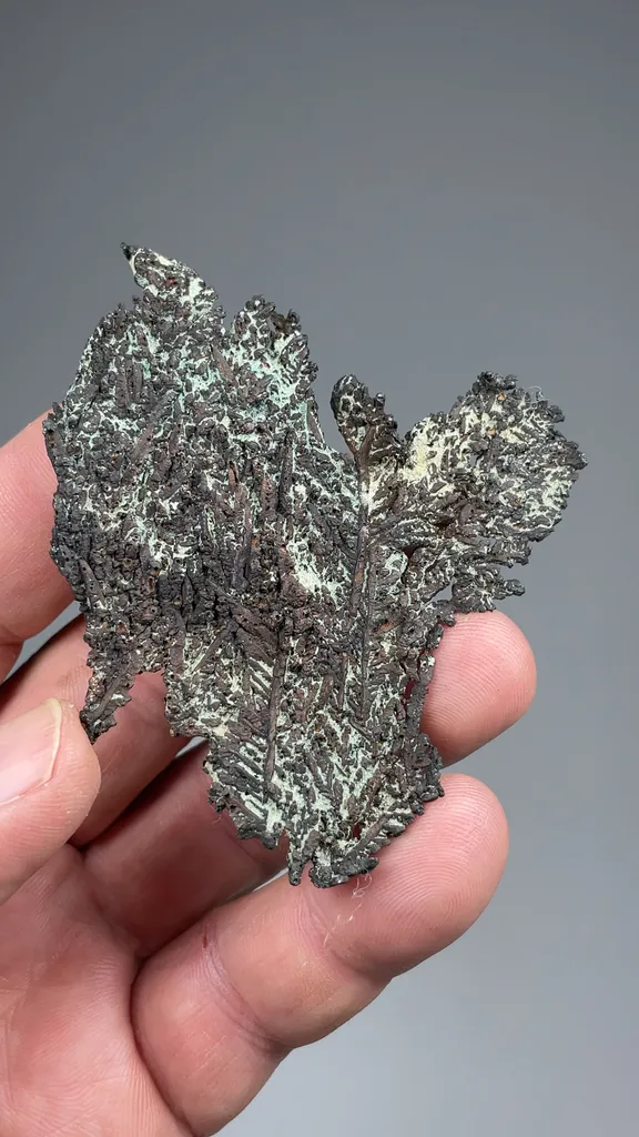 Silver - image 2