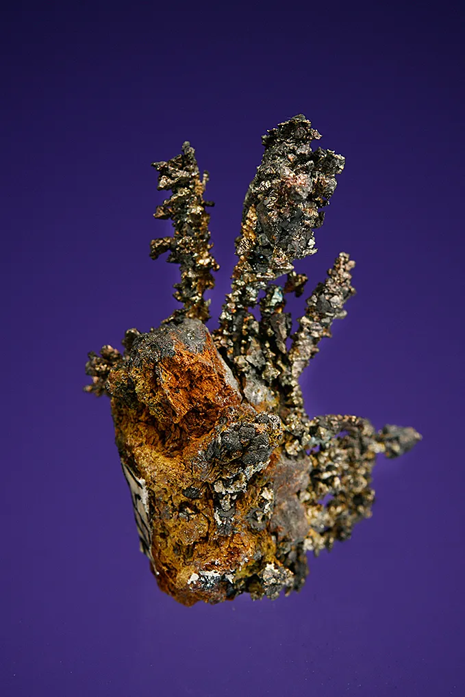 Silver - image 3