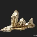 Silver - image 2