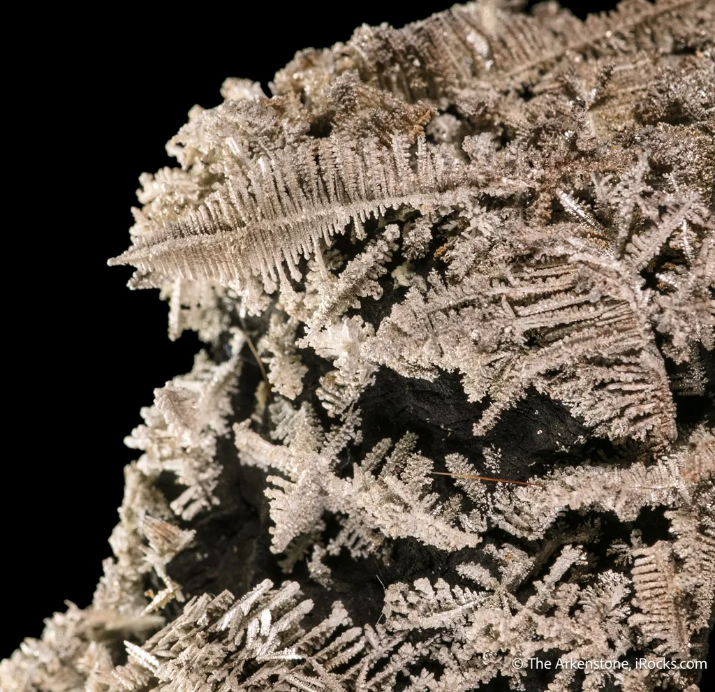 Silver - image 3