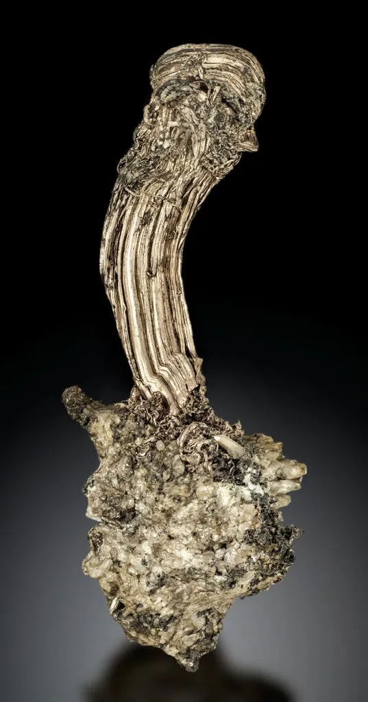 Silver image