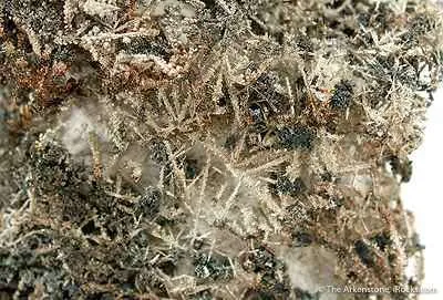 Silver - image 2