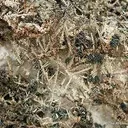 Silver - image 2