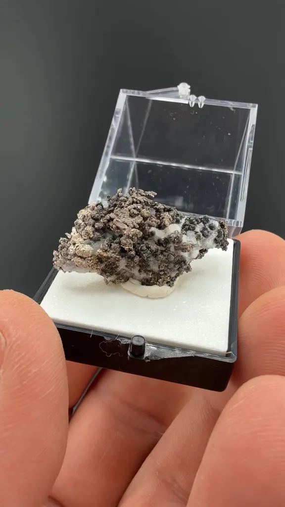 Silver image