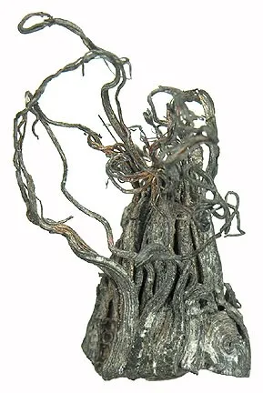 Silver image