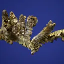 Silver - image 2