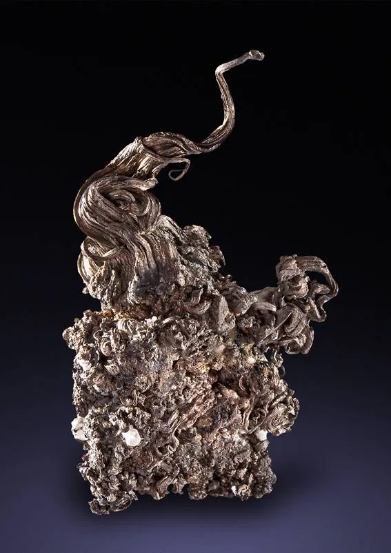 Silver image