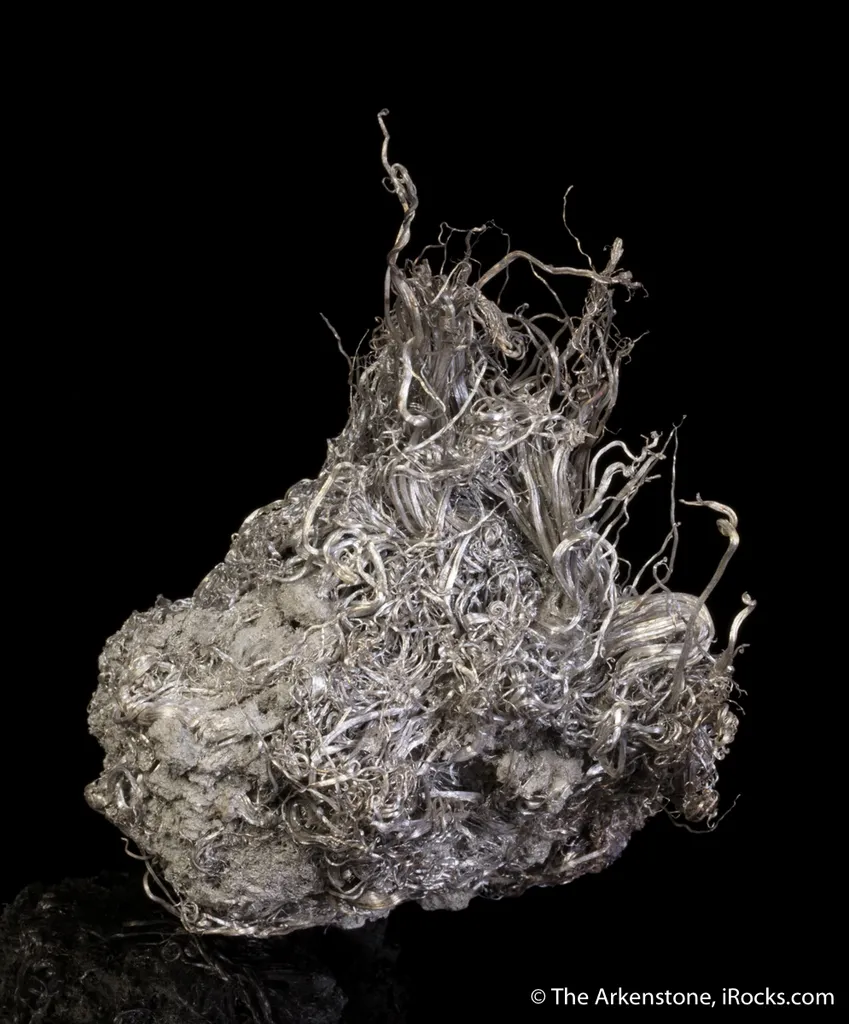 Silver - image 5