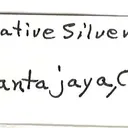 Silver - image 4
