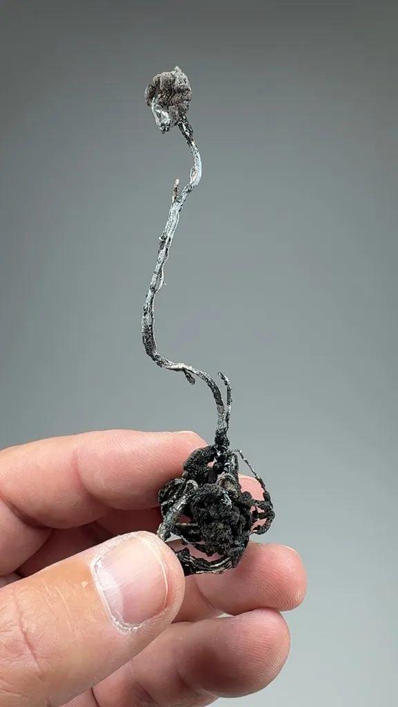 Silver - image 2