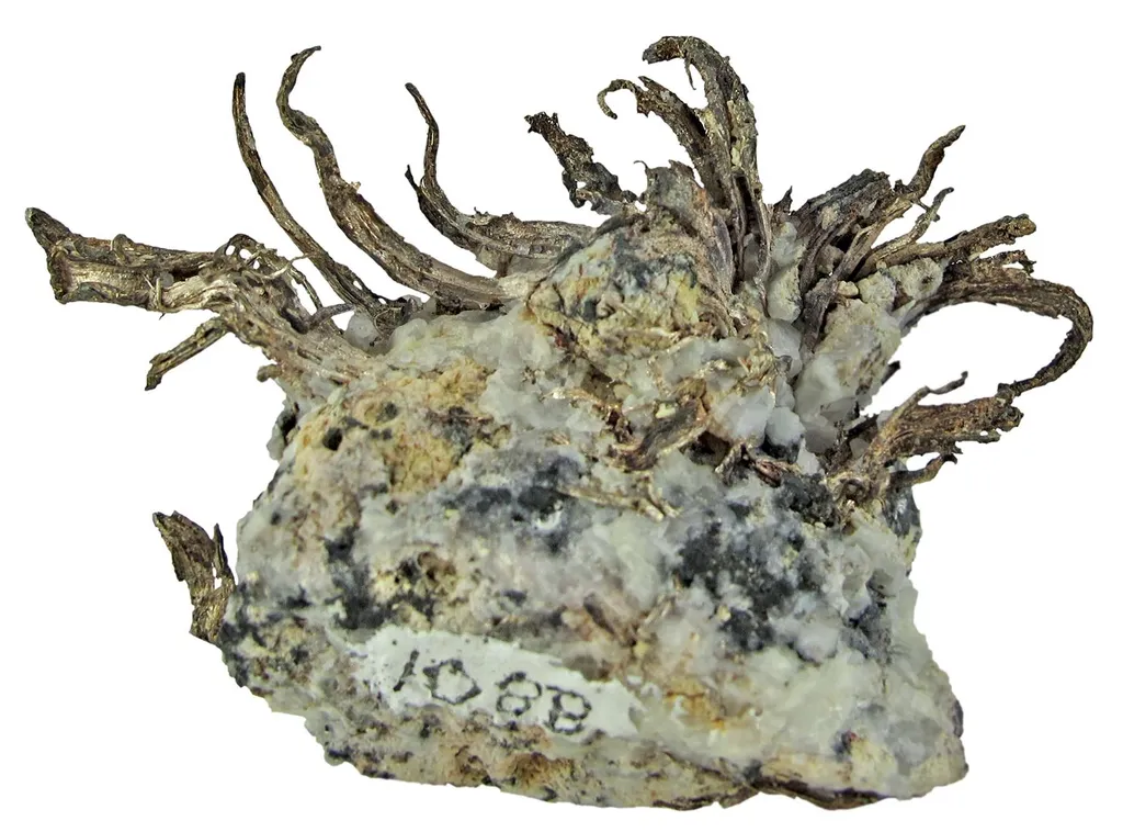 Silver - image 2