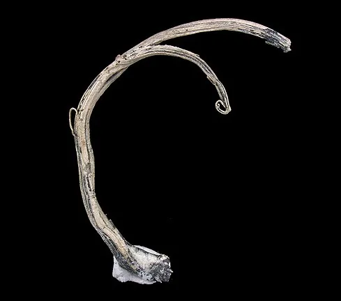Silver image