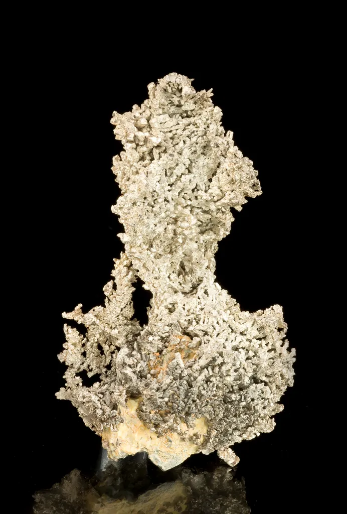 Silver image