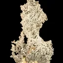 Silver - image 1