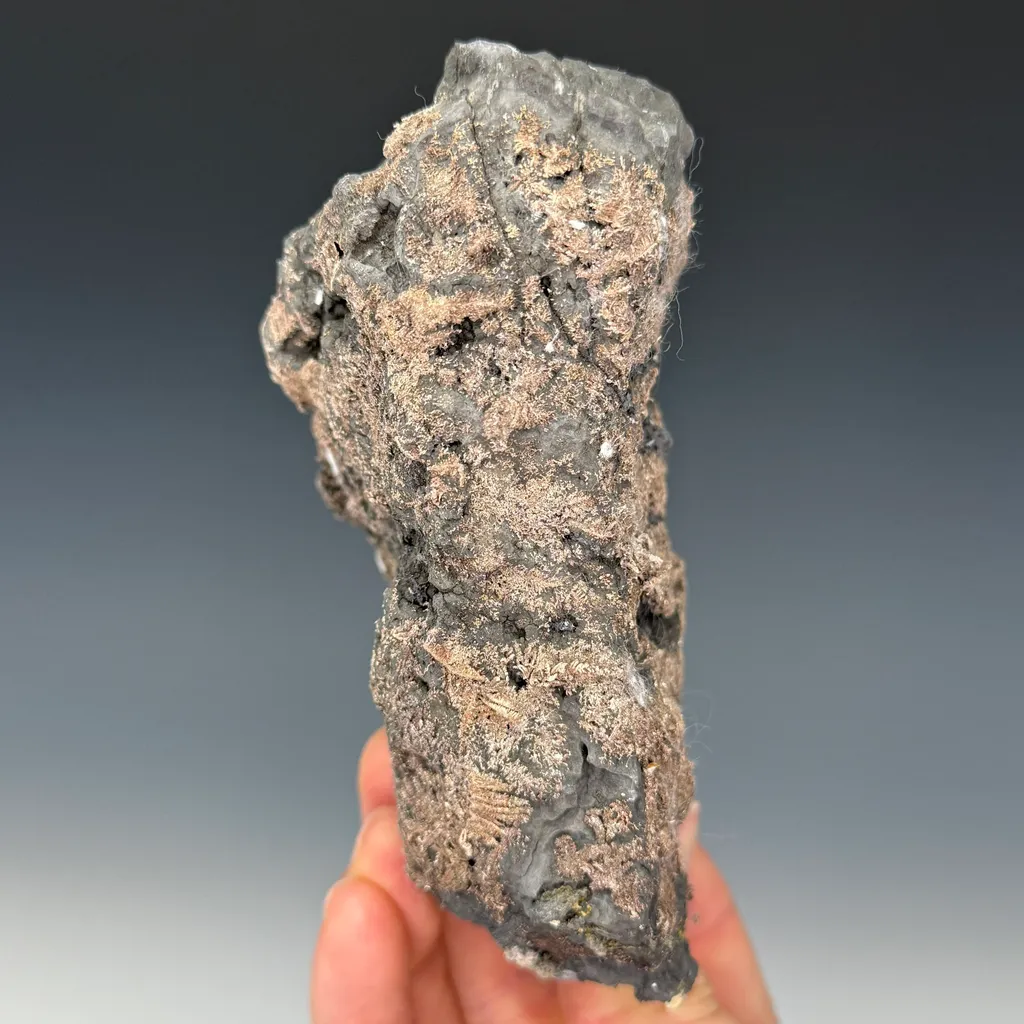 Silver - image 5