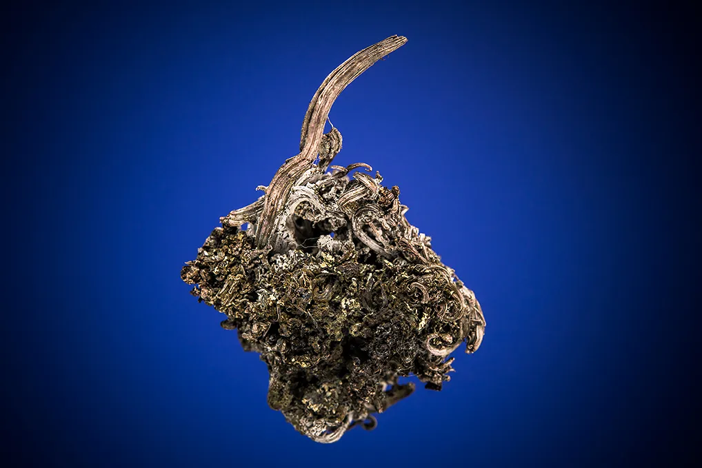 Silver image