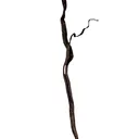 Silver - image 2