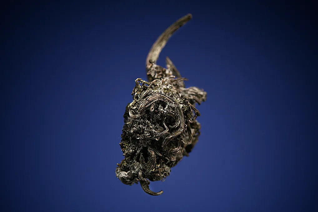Silver - image 3