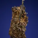 Silver - image 4