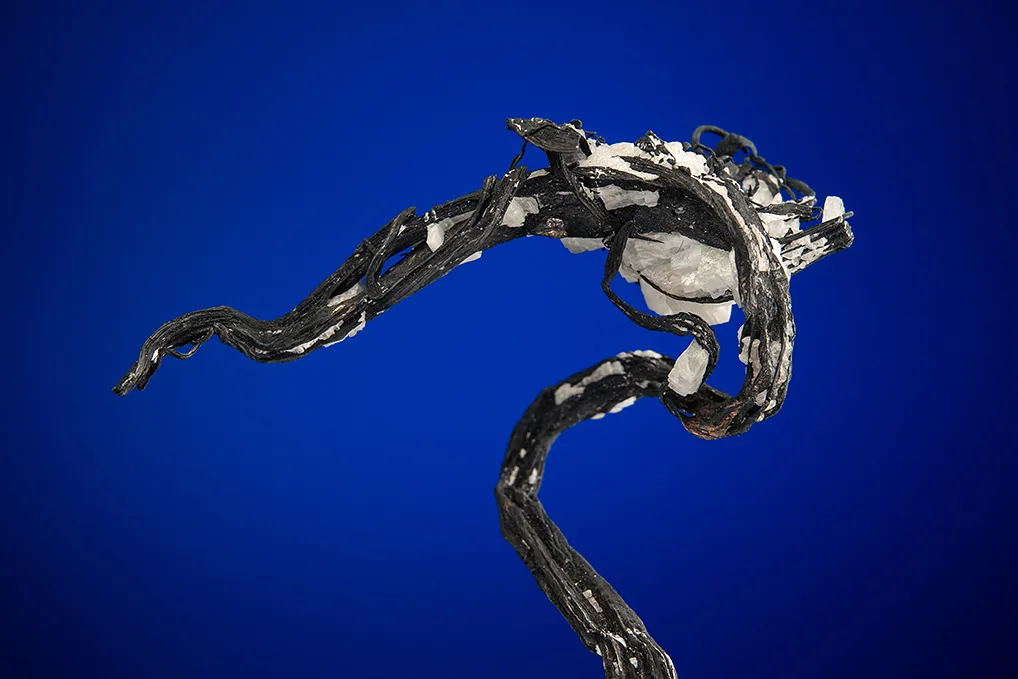 Silver - image 2