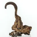 Silver - image 4