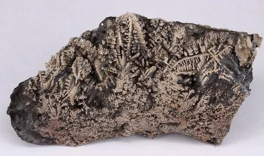 Silver, fern like crystals on native Arsenic image