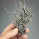 Silver from Broken Hill, New South Wales, Australia - image 2