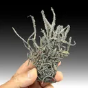 Silver from Broken Hill, New South Wales, Australia - image 1