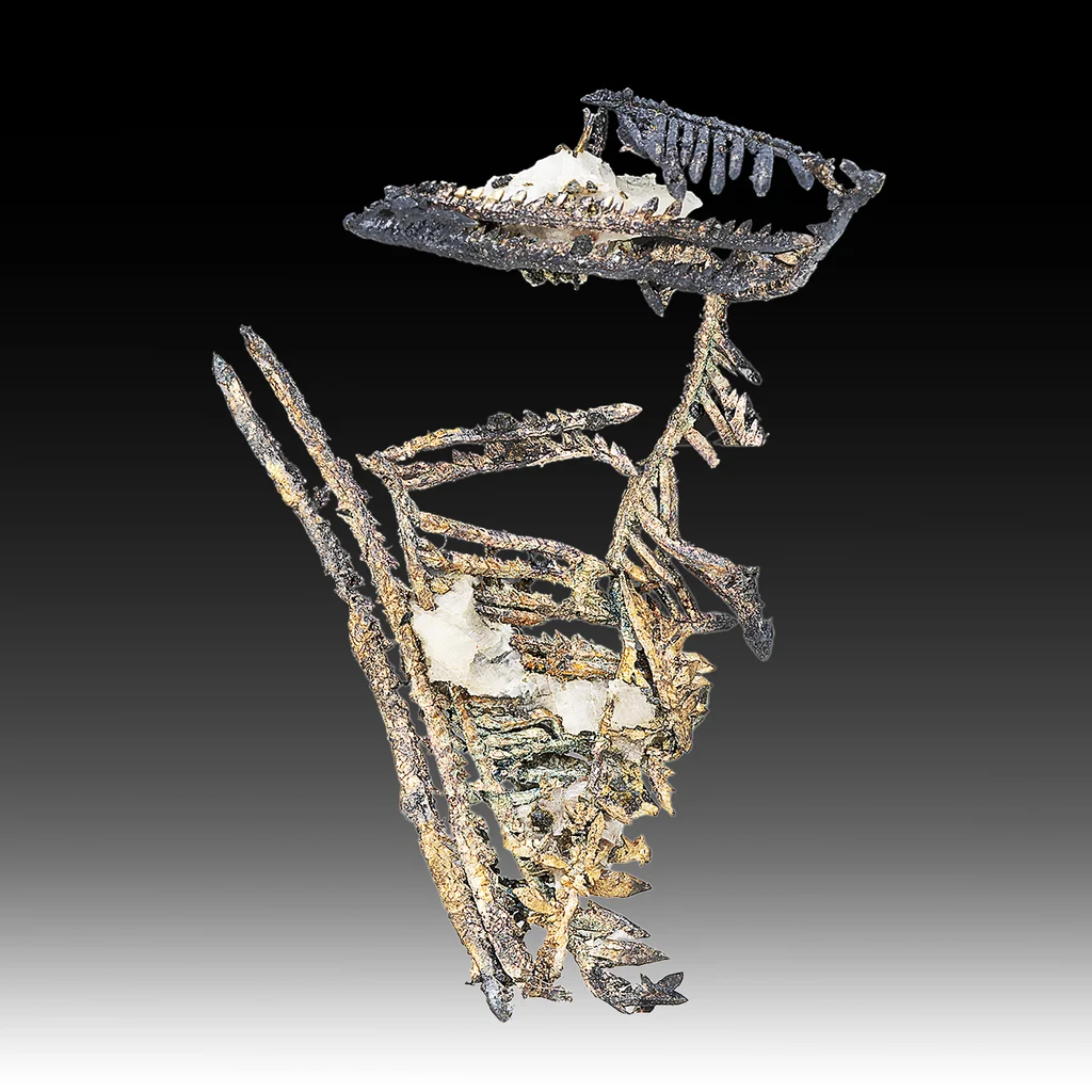 Silver from New Nevada Mine, Chihuahua, Mexico image