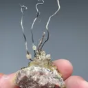 Silver from Shimen Mine, Hunan, China - image 2