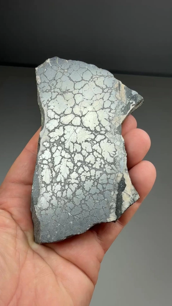 Silver from Siscoe Mine, Ontario, Canada - image 2