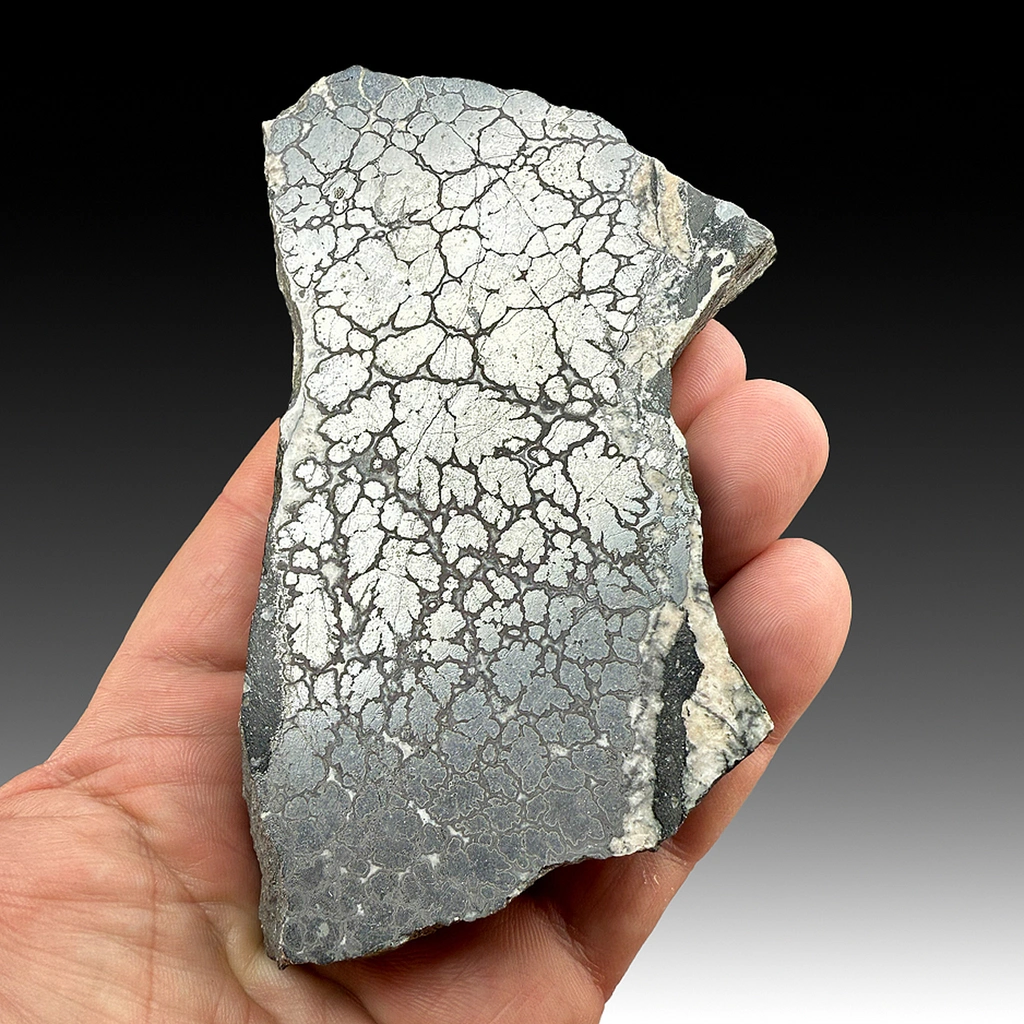 Silver from Siscoe Mine, Ontario, Canada - image 1