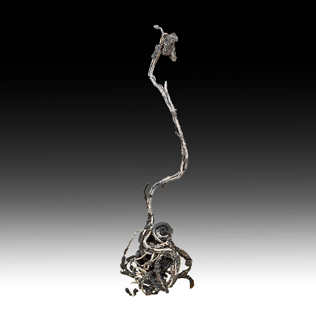 Silver from Uchucchacua Mine, Lima, Peru image