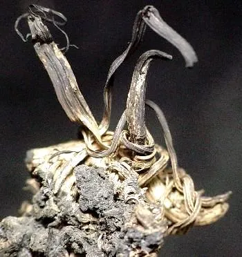Silver, Galena image