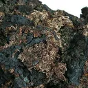 Silver in Acanthite - image 3