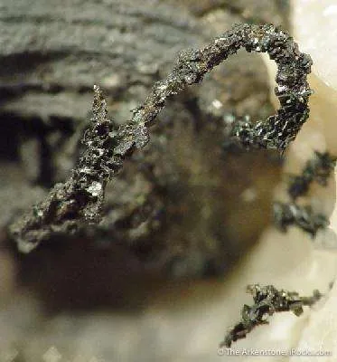 Silver in Calcite With Pyrite and Sphalerite ("The Bird") - image 2